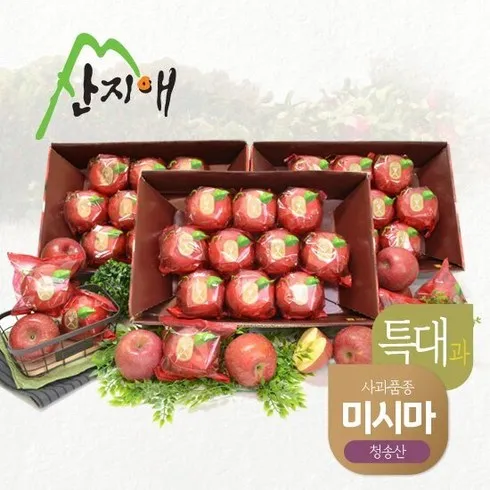 우리 엄마를 위한 산지애 사과 9kg  별점 5점 제품
