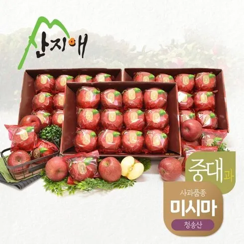 우리 아빠를 위한 산지애 사과 9kg  추천 상품 Top 8 순위