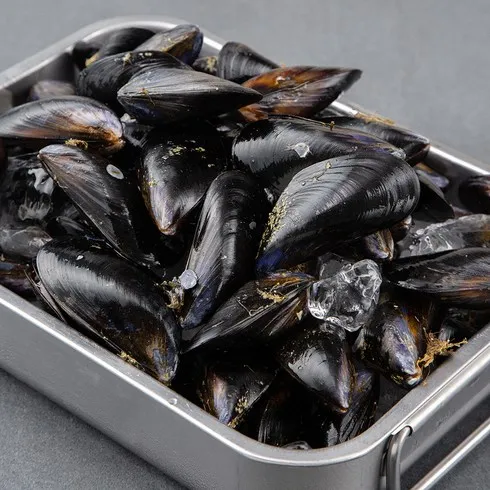 오늘만 할인된 가격 신안 자연산 홍합 2kg(610미 솔직한 사용후기