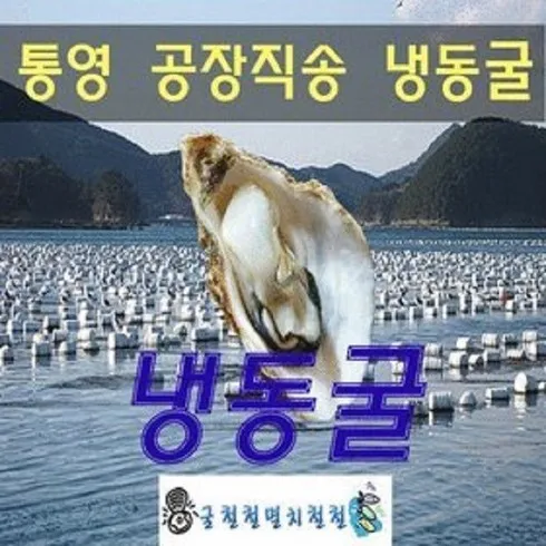 라이브 방송 출연한 통영 개별 냉동굴 6팩 자세한 사용 후 리뷰
